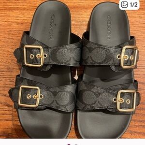 Coach Black Slides with Gold Buckles